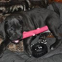 ���� ��������, ������, 42 ���� - ��������� 28 �������� 2010