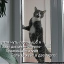 ���� �������, ��������� - ��������� 23 ����� 2012 � ������ ���� ����������