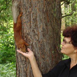 ���������, ������������, 76 ���