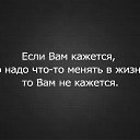 ���� ����, ����, 41 ��� - ��������� 8 ������� 2012 � ������ �������