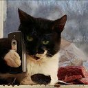 ���� ����. ��������� �� ��!, ������, 72 ���� - ��������� 28 ����� 2011 � ������ �������� ����