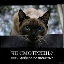 ���� ����� - ���������� ��������!!!, �����������, 56 ��� - ��������� 26 ������ 2009 � ������ �������