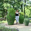 ������� �� ������� ���� ����������