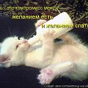 ���� ���, ����, 50 ��� - ��������� 29 ��� 2011 � ������ �������