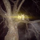 ���� ������, ��������, 47 ��� - ��������� 14 ����� 2013 � ������ ���� ����������