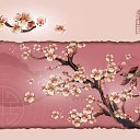 ���� ����), ���������� - ��������� 11 ������� 2009 � ������ �������