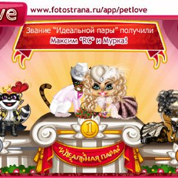 ���� ����, ����, 53 ���� - ��������� 13 ��� 2011
