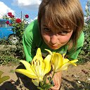 ���� �������, ���������, 29 ��� - ��������� 23 ������� 2013 � ������ ���� ����������