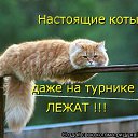 ���� �, �������-���������, 46 ��� - ��������� 3 ������ 2012 � ������ �������