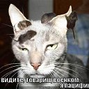 ���� Lana, �������-����������, 40 ��� - ��������� 13 ������ 2013 � ������ ���� ����������