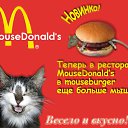 ���� �����, ��������, 41 ��� - ��������� 2 ������� 2012 � ������ �������ۻ