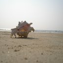 ���� �������, ������, 45 ��� - ��������� 5 ������� 2011 � ������ ����