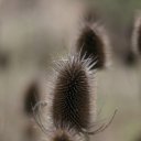 ���� �ocpucm, ������, 48 ��� - ��������� 4 ������ 2009 � ������ �"��� ���� � � ��� � n��" � ����� ;-)�