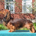 ���� &deg;&bull;*������&deg;&bull;*, ����������, 23 ���� - ��������� 3 ���� 2010 � ������ ��������!�