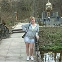  , , 61  -  27  2012    2012