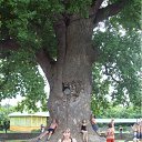 ���� �������, ������-��-����, 49 ��� - ��������� 6 ������ 2011 � ������ ���� ����������