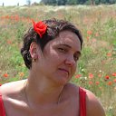 ���� ��������, ���������, 55 ��� - ��������� 8 ���� 2013