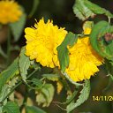  , , 56  -  15  2010     2010