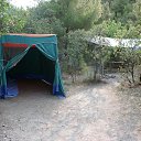 ���� �����, �������, 55 ��� - ��������� 4 �������� 2012 � ������ ������ �������; ������