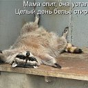 ���� ����� - ���������� ��������!!!, �����������, 56 ��� - ��������� 13 ������� 2009 � ������ ��������� ����һ