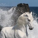 ���� �����, ����� - ��������� 29 ������ 2013 � ������ ���� ����������