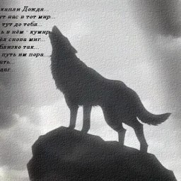 , , 48 