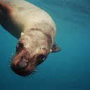 ���� ����� - ���������� ��������!!!, �����������, 56 ��� - ��������� 20 ������� 2009 � ������ ������������� ��������� � ��������� ���!�