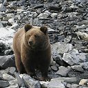 ���� ���, ������� - ��������� 22 ������ 2011 � ������ �������� ������