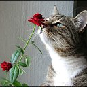  Ruslan S., , 53  -  19  2012