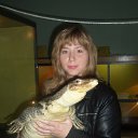 ���� ������, ��������, 41 ��� - ��������� 20 ������ 2012 � ������ ���� ����������