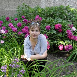 ����, ��������, 40 ���