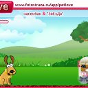  ,  , 27  -  8  2010   PetLove