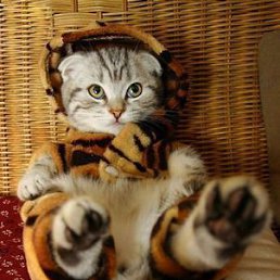 ���� ������, �����, 44 ���� - ��������� 24 ������� 2012