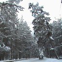 ����� ����� �� ������� �������� �������