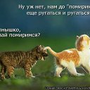 ���� ������, ���������, 36 ��� - ��������� 16 ������ 2012