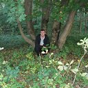 ���� ������, �����������, 38 ��� - ��������� 29 ������ 2011 � ������ �� � ��� �������