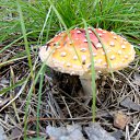 ���� �������, ������� - ��������� 10 ������ 2010 � ������ ����...������