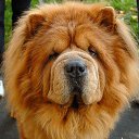 ���� ������� 224 ����, ������ - ��������� 8 ���� 2013 � ������ ������� ����