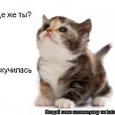 � ����� �������� ���� vk.com/fotiko