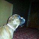 ����� ��������!? �� ������� ���� ���� �����߻