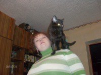 ���� ��������, ���� - ��������� 8 ���� 2013