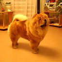 ���� ����, ���������� �����, 53 ���� - ��������� 6 ��� 2012