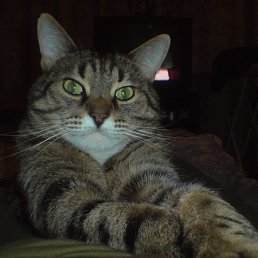 ���� ������, ������, 55 ��� - ��������� 6 ����� 2012