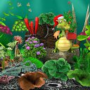 ���� ����������, ���������� - ��������� 21 ������� 2012 � ������ �������