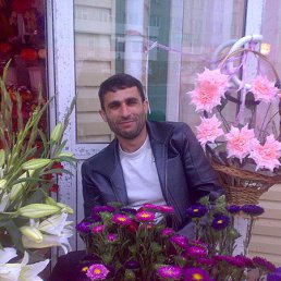 �����, ��������, 58 ���