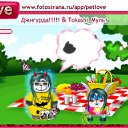 ���� ���������, ��������, 27 ��� - ��������� 24 ������ 2010 � ������ �PetLove�