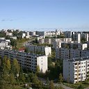 ���� ��������, ����������, 61 ��� - ��������� 6 ������ 2011 � ������ ���� �����.�