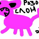 ���� �������, ���������, 35 ��� - ��������� 15 ������ 2010 � ������ ���� �������. =D�