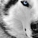 ���� �����, ������, 52 ���� - ��������� 12 ������� 2012 � ������ �������