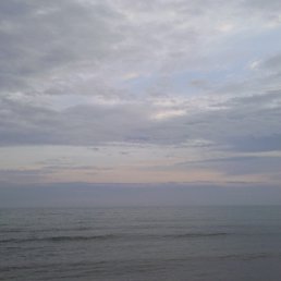 ���� �����, ���������, 38 ��� - ��������� 7 ����� 2012